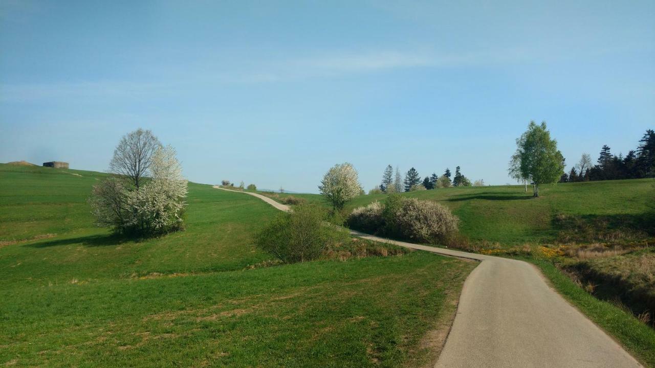 Noclegi Przy Szlaku Agroturystyka Zabnica Exterior foto