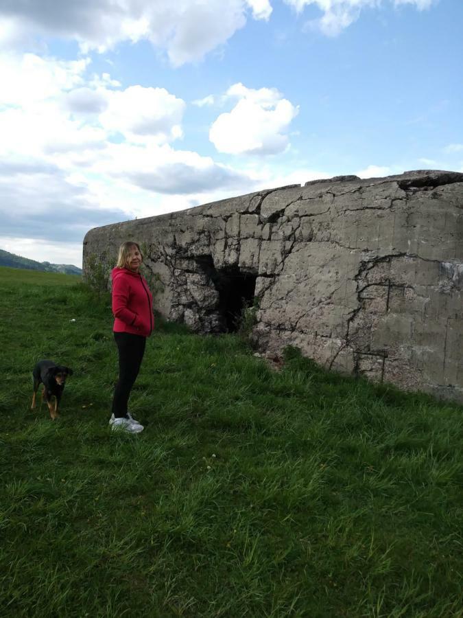 Noclegi Przy Szlaku Agroturystyka Zabnica Exterior foto