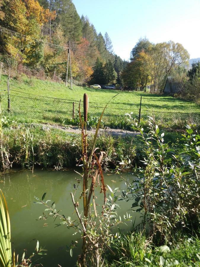 Noclegi Przy Szlaku Agroturystyka Zabnica Exterior foto