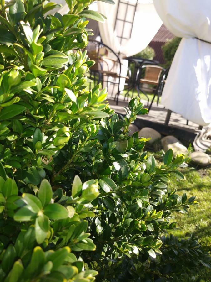 Noclegi Przy Szlaku Agroturystyka Zabnica Exterior foto