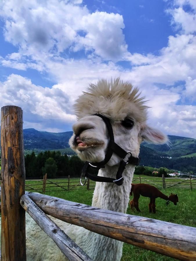Noclegi Przy Szlaku Agroturystyka Zabnica Exterior foto